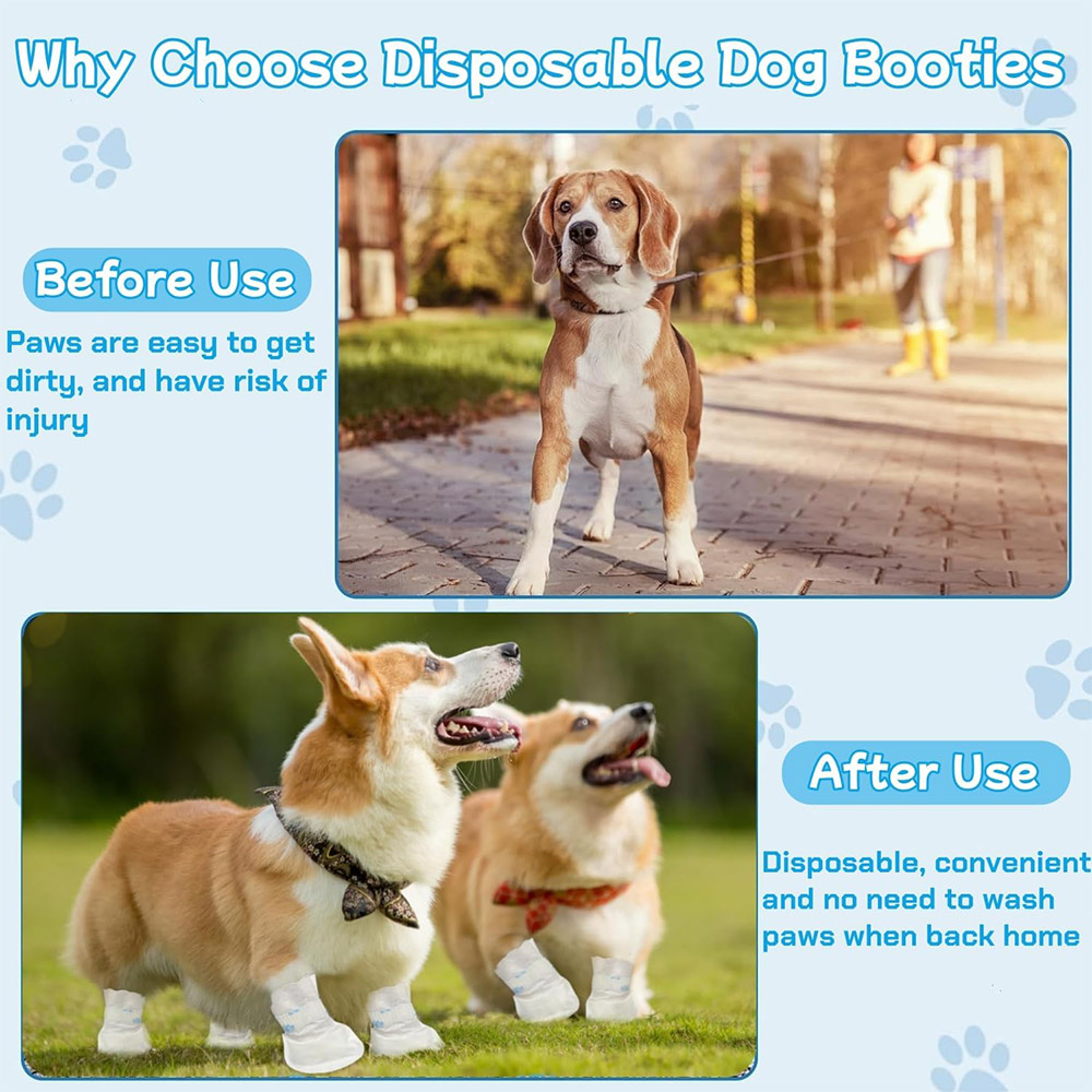 20/40PCS Pet Disposable Paw Sh - đánh giá và giá Dust Shoe Cnc