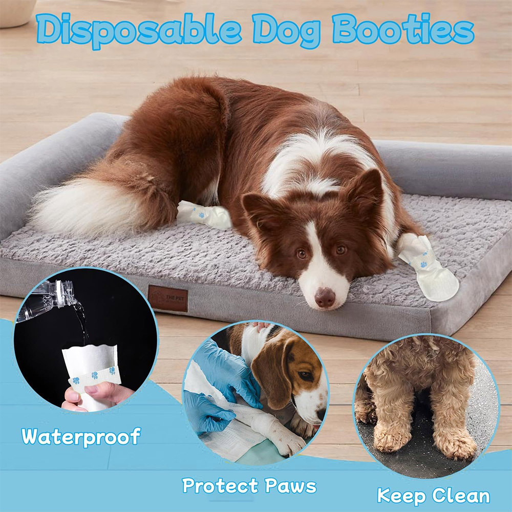 20/40PCS Pet Disposable Paw Sh - đánh giá và giá Dust Shoe Cnc