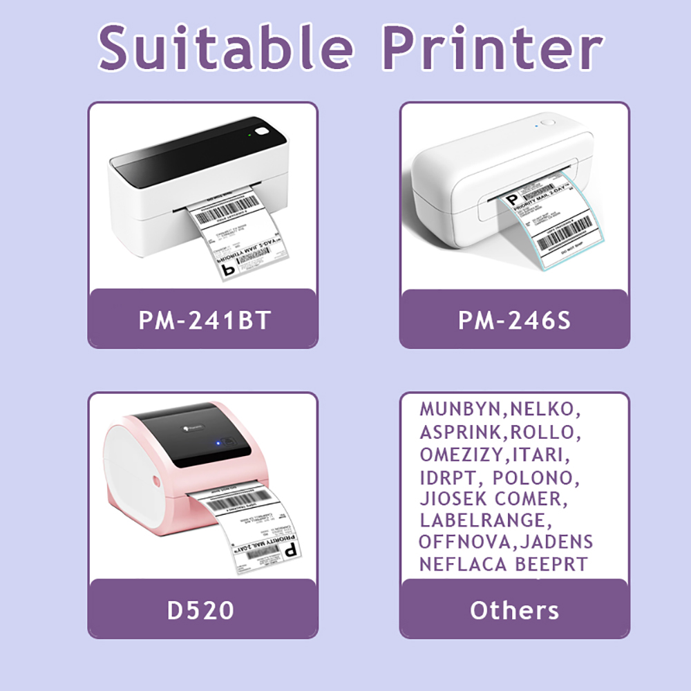 MUNBYN/Nelko 2 Inch Holographi - đánh giá và giá Industrial Laser Printer